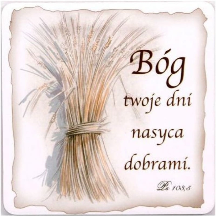 podkladka korowa.jpg