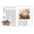 ilustrowana-biblia-rodzinna.jpg