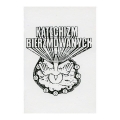Katechizm Bierzmowanych